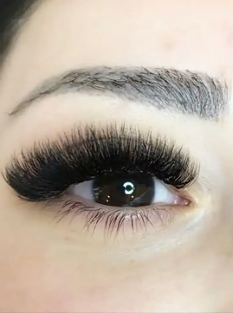 Eyelash Extension - Mega Volume